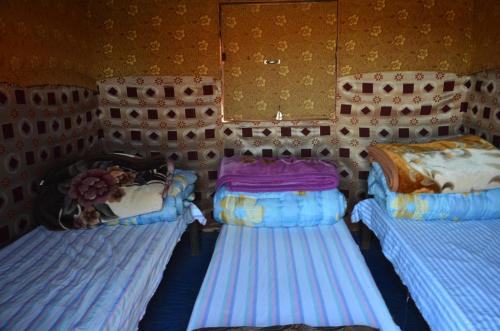 wadi rum protected area camp