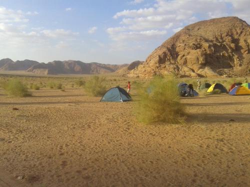 wadi rum protected area camp