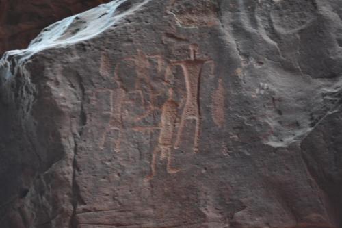 wadi rum protected area camp