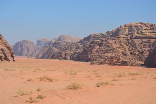wadi rum protected area camp