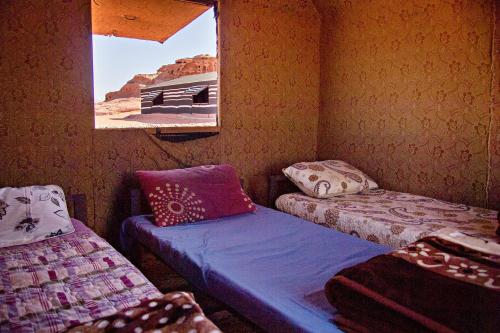 wadi rum protected area camp