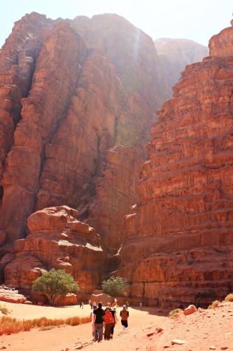 wadi rum protected area camp