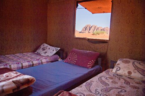 wadi rum protected area camp