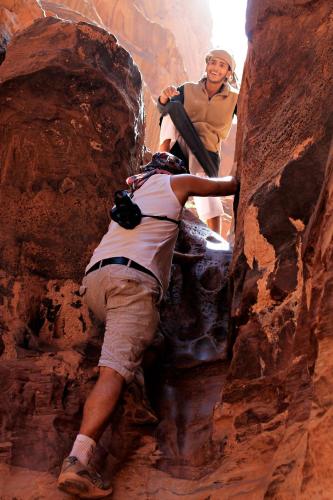 wadi rum protected area camp
