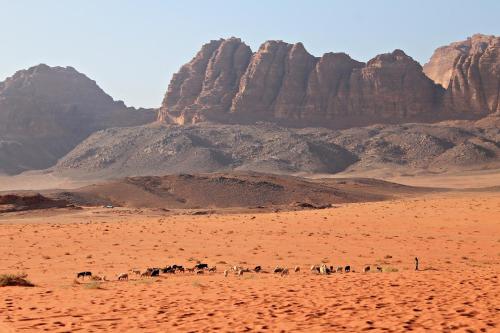 wadi rum