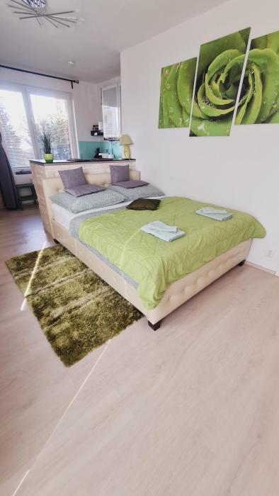 bastien studio near airport