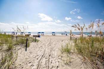 hilton head island