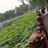 beijing drum tower luxurious apartment