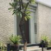 srikrisna homestay