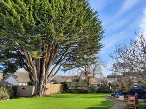 the white cottage bandb