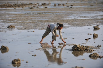 melinas beach front bungalow