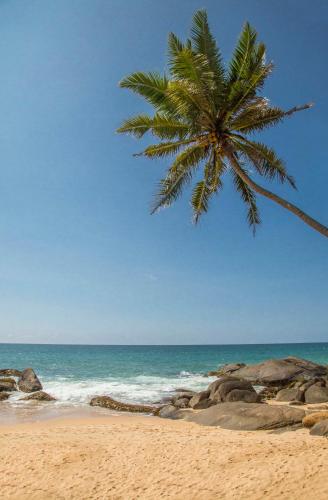 the sandals by edwards collection