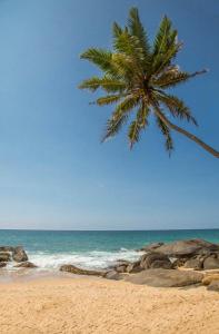 the sandals by edwards collection