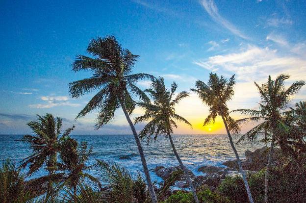 the sandals by edwards collection