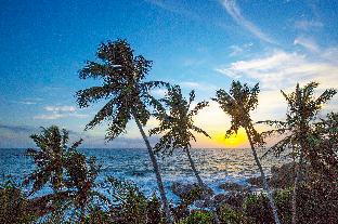 the sandals by edwards collection