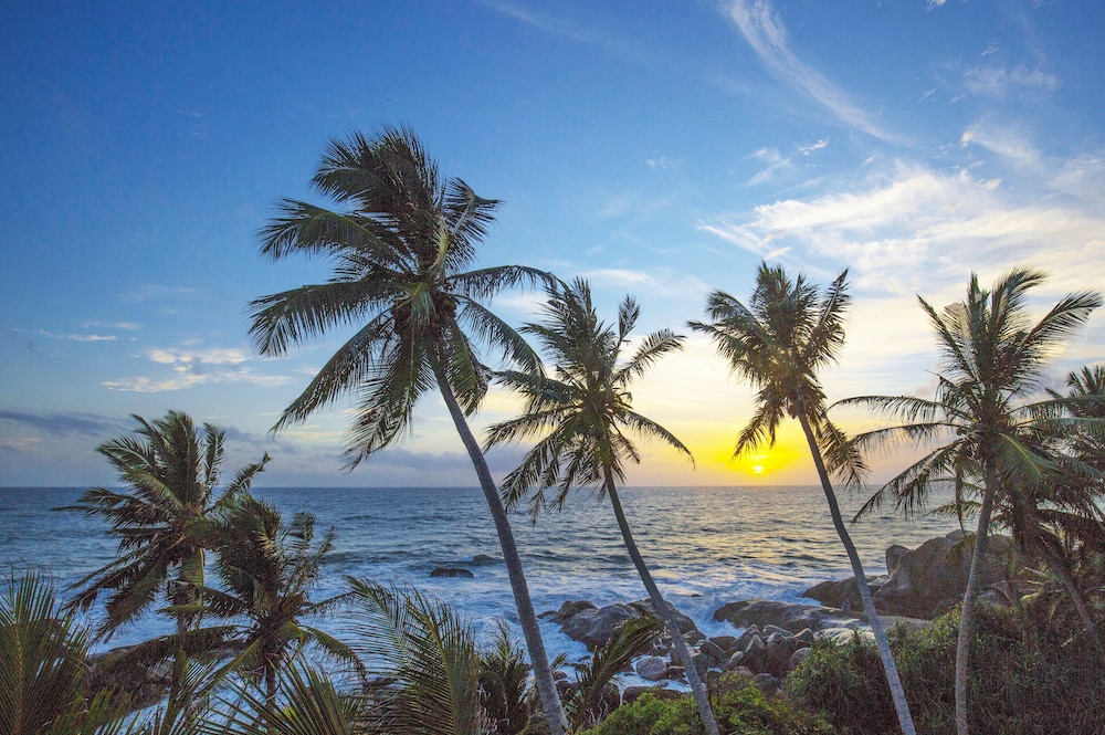 the sandals by edwards collection