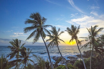 the sandals by edwards collection