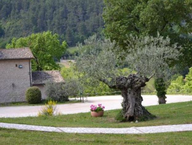 valle rosa