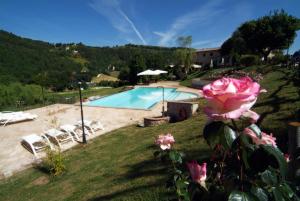 valle rosa