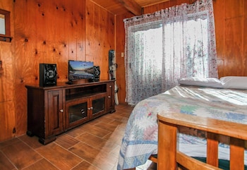 bear n tree by big bear cool cabins