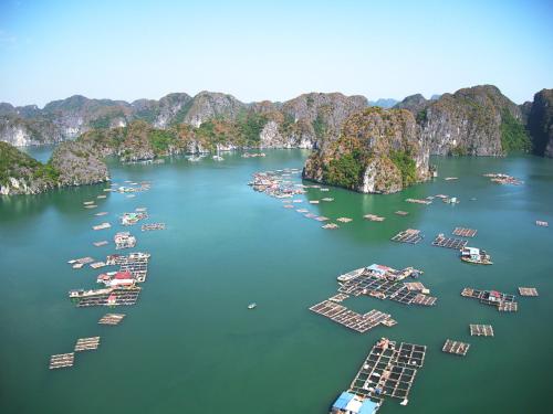 indochine lan ha bay powered by aston