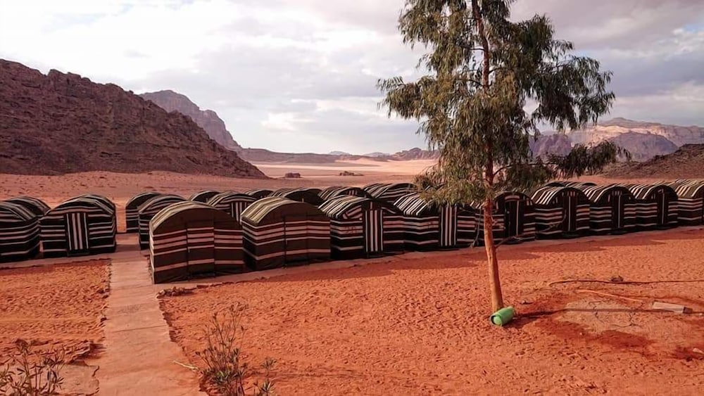 wadi rum light camp