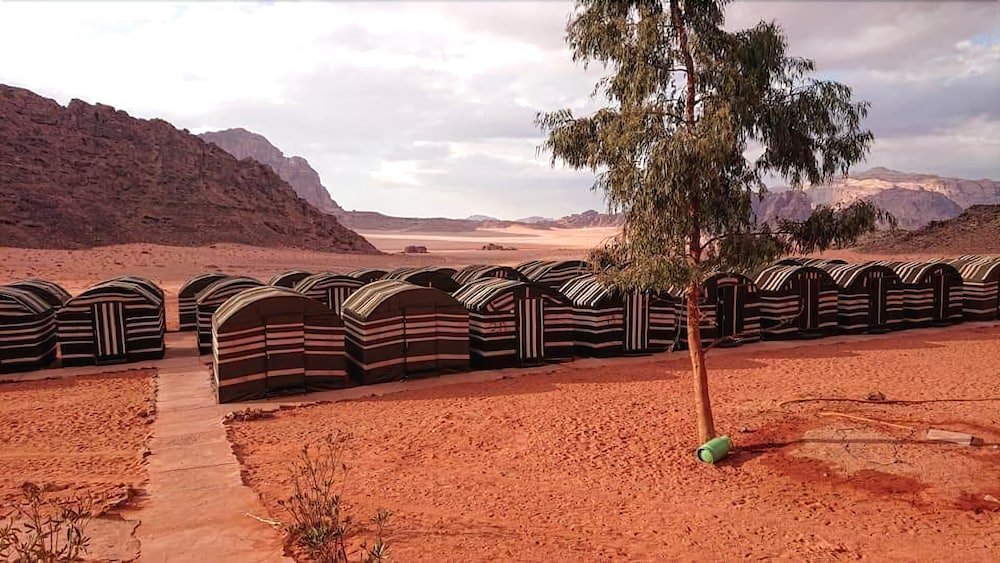 wadi rum light camp