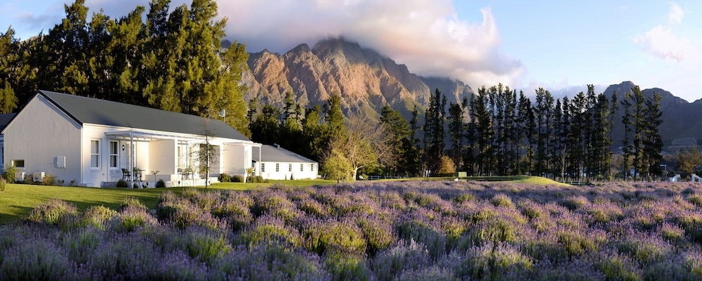 franschhoek