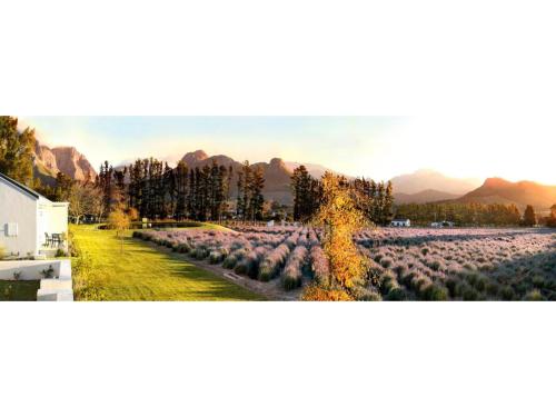 franschhoek