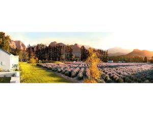 franschhoek