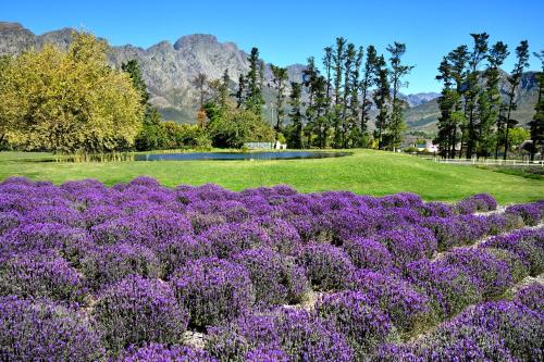 franschhoek