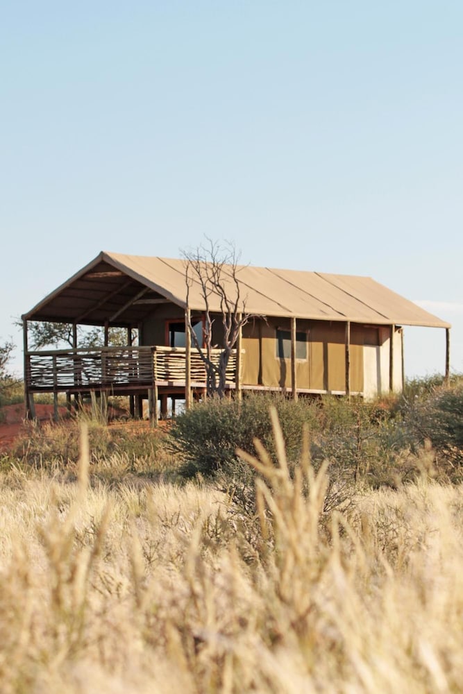 suricate tented lodge