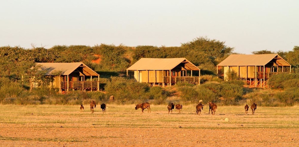 intu afrika kalahari private reserve