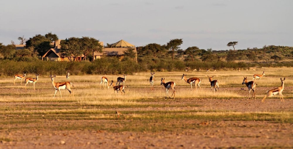 intu afrika kalahari private reserve