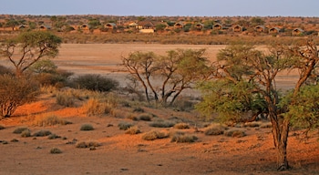 suricate tented lodge