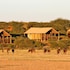 suricate tented lodge