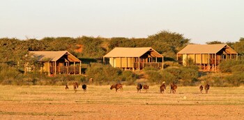 suricate tented lodge