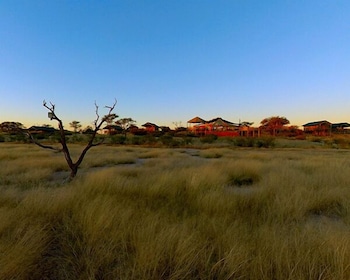 suricate tented lodge