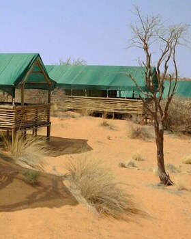 suricate tented lodge
