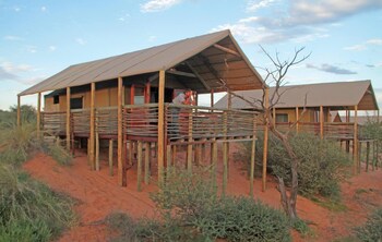 suricate tented lodge