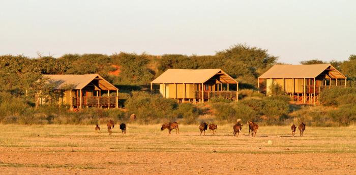 suricate tented lodge