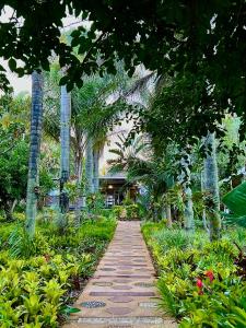 st lucia