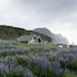 vik cottages
