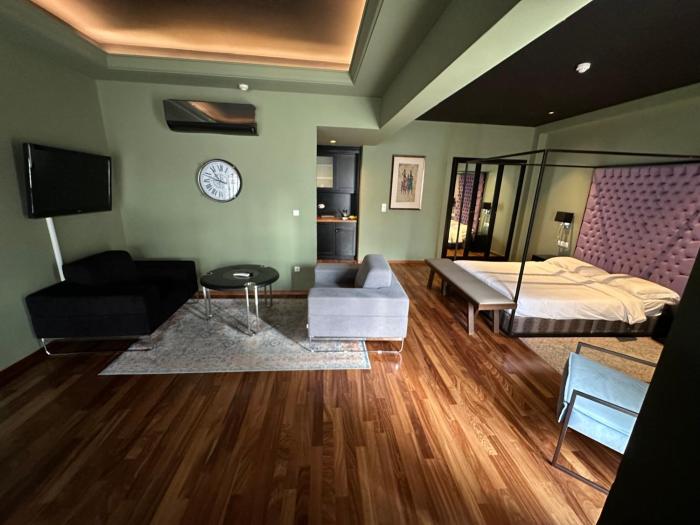 andromeda suites and apartments