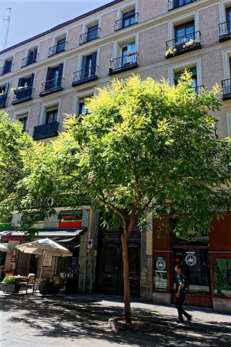 arenal suites preciados