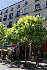 arenal suites preciados