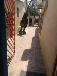 naisar sparkling white apartment