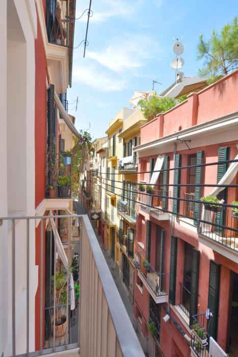 palma de mallorca
