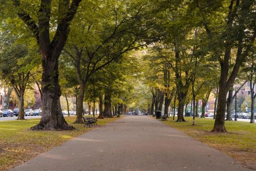 boston