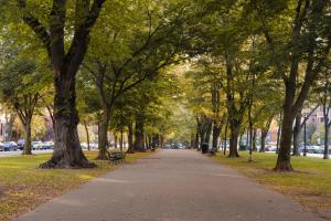 boston